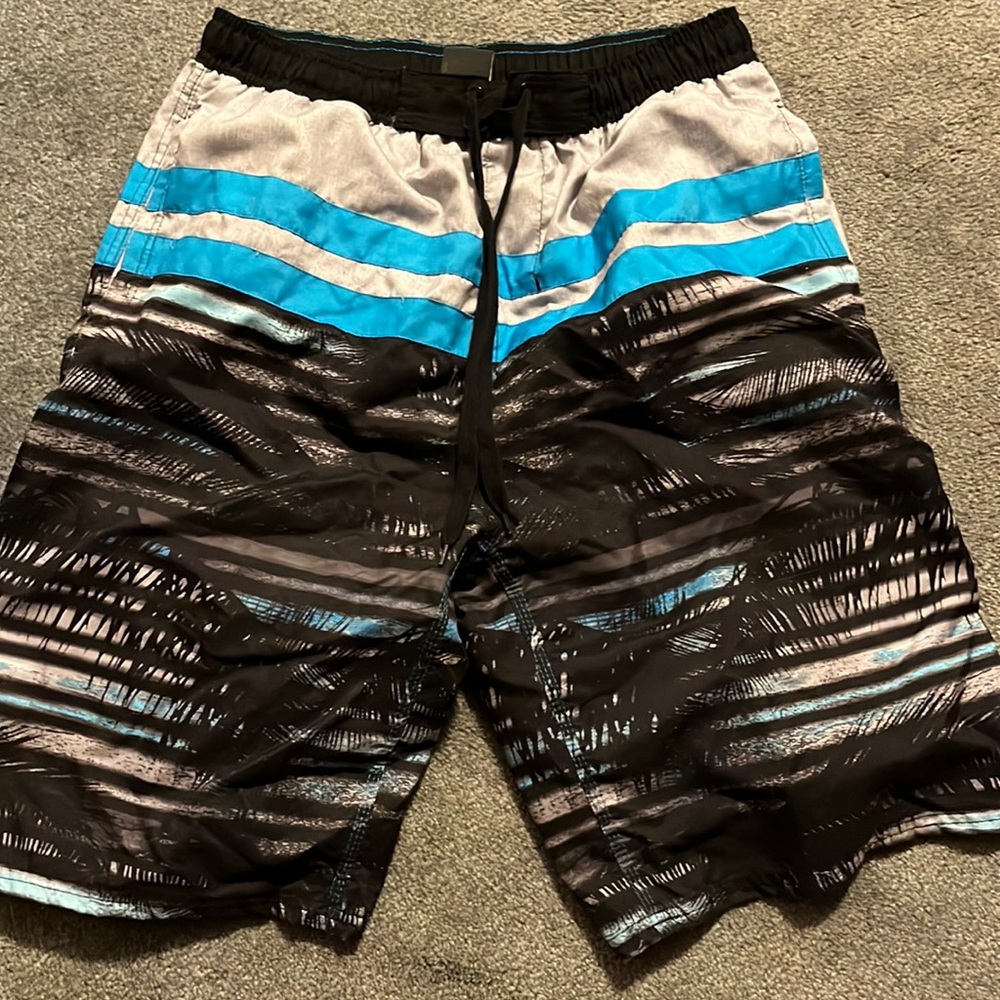 Pacific Scene Mens Bathing Suit